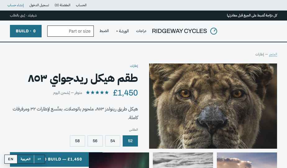 Bicycles storefront theme